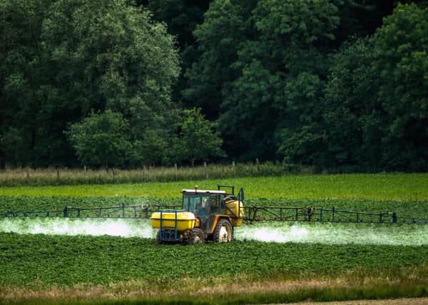 France plans to ban domestic sales of the weedkiller for use in gardens by 2019. Picture: Philippe Huguen/AFP/Getty Images