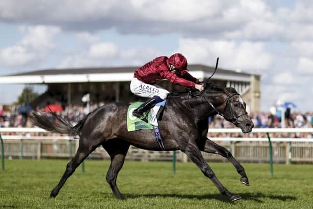 Roaring Lion remains unbeaten after his latest success at Newmarket. Picture:  Alan Crowhurst/Getty Images)