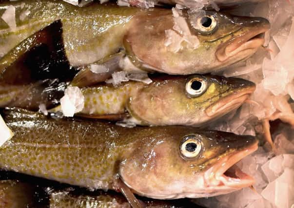 Scots cod is heading towards the coveted green eat rating. Picture: Getty Images