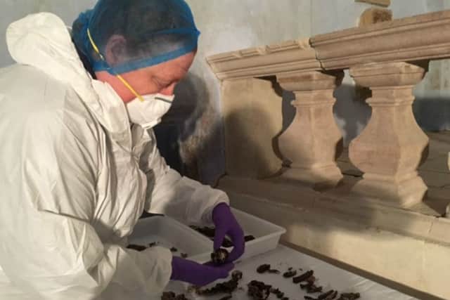 Professor Dame Sue Black with some of the recovered bones. PIC: Contributed.