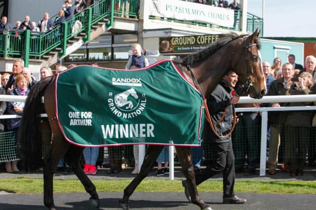 Grand National Winner 2017, One For Arthur, will not be defending his Aintree crown due to injury. Picture: Toby Williams
