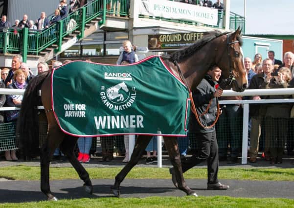 Grand National Winner 2017, One For Arthur, will not be defending his Aintree crown due to injury. Picture: Toby Williams