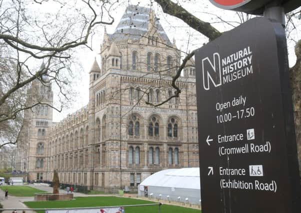 Emergency services are attending the incident which happened outside the Natural History Museum in London, amid reports a car has mounted the pavement and struck pedestrians. Picture: PA