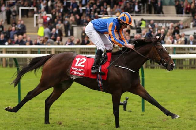Ryan Moore guides Roly Poly to another Group One victory. Photograph: Nigel French/PA