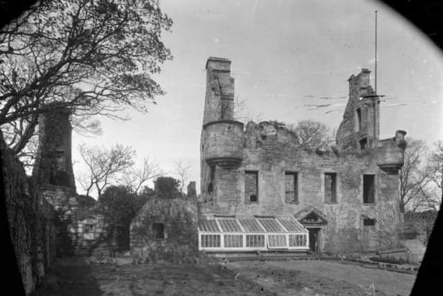 The south-facing garden and glasshouse.