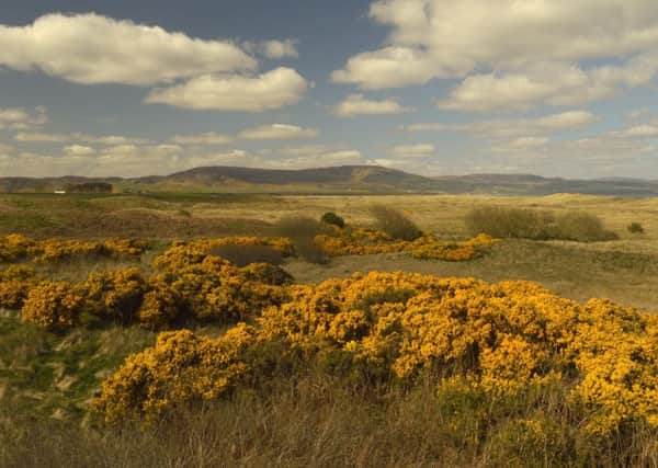 Environmentalists have slammed plans by a US golf mogul to create an 18-hole championship golf course at Coul Links in Sutherland, which could generate Â£60m for the local economy over ten years