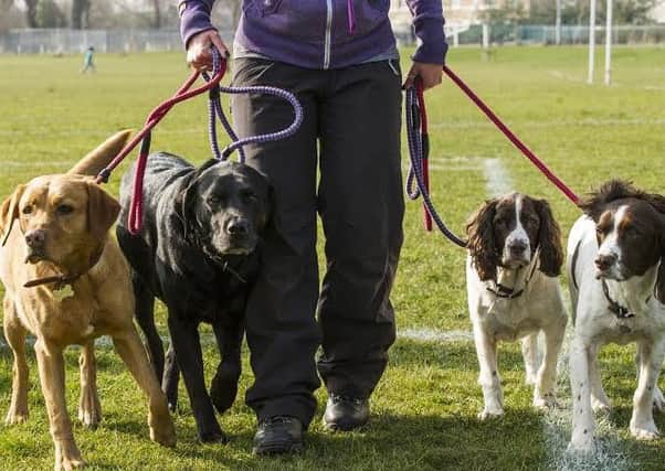 Fife Council are threatning to fine dog walkers with fouling bags. Picture: Ian Georgeson