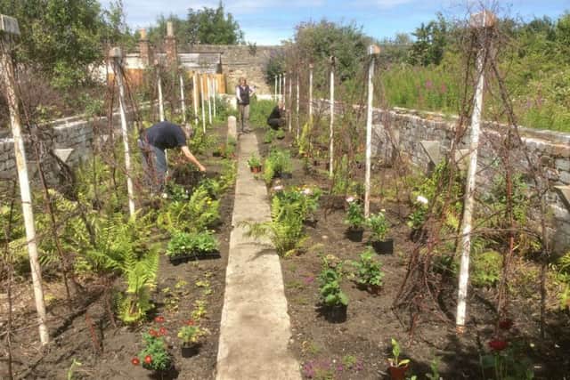 Volunteers have breathed new life into the garden. PIC: Contributed.