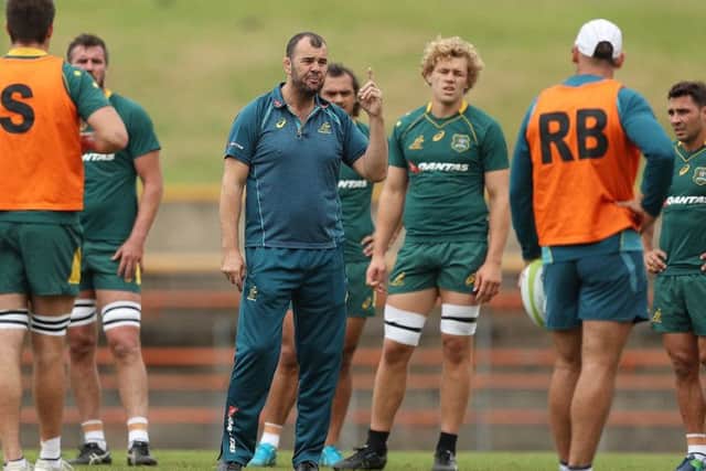 Australia head coach Michael Cheika has named six uncapped players in his squad for the autumn internationals. Picture: Getty Images