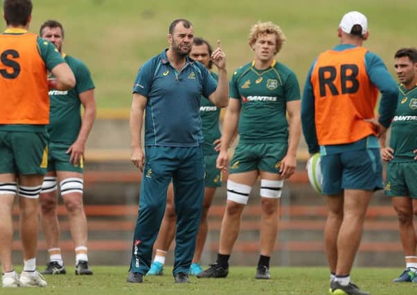 Australia head coach Michael Cheika has named six uncapped players in his squad for the autumn internationals. Picture: Getty Images