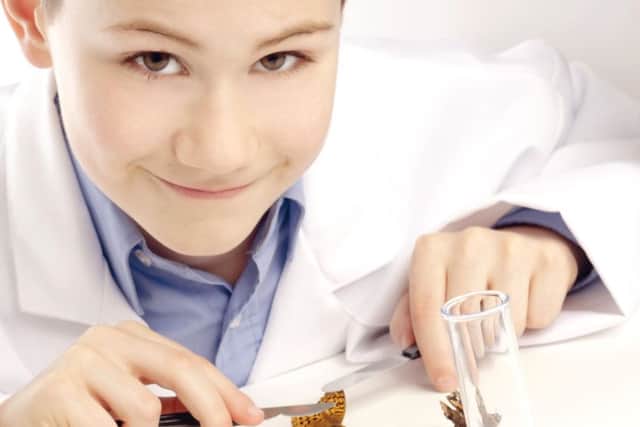 School pupils need to understand more about what life sciences means, as well as the opportunities available. Picture: Shutterstock