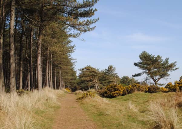 Tentsmuir Spring Cycle with Keith McCartney.