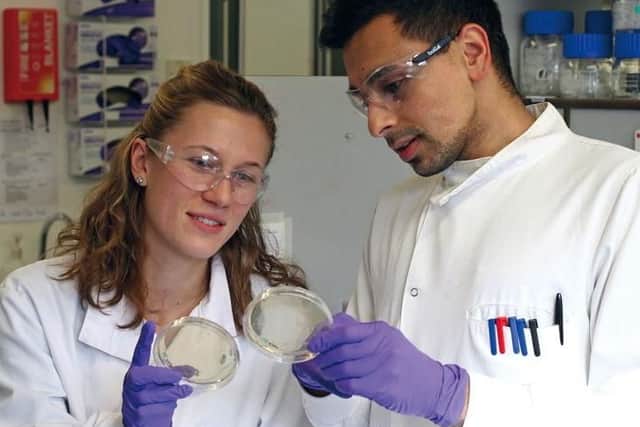 Naveed Ahmad, right, and Dominika Vojtasova both joined Ingenza via IBioICs three-month MSc placement programme. Ahmad, who joined in 2015, now manages Vojtasova, who has just started.