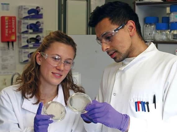 Naveed Ahmad, right, and Dominika Vojtasova both joined Ingenza via IBioICs three-month MSc placement programme. Ahmad, who joined in 2015, now manages Vojtasova, who has just started.