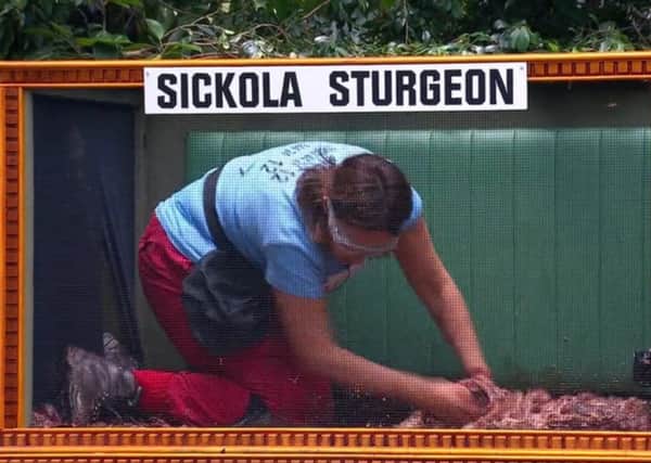Kezia Dugdale MSP takes part in a bush tucker challenge. Picture: ITV