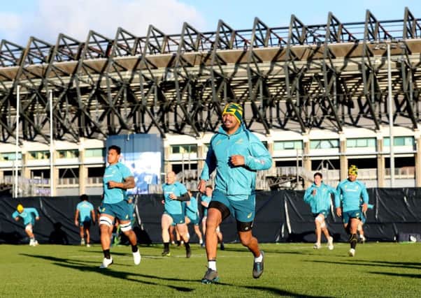 The Wallabies train in the shadow of BT Murrayfield. Picture: Ian MacNicol/Getty Images
