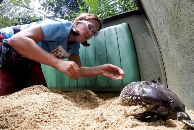 Kezia Dugdale on I'm A Celebrity...Get Me out Of Here! Photo by ITV/REX/Shutterstock