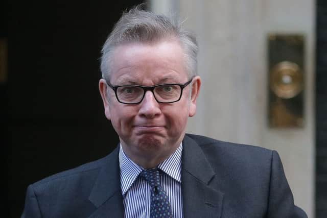 Britain's Environment, Food and Rural Affairs Secretary Michael Gove / AFP PHOTO / Daniel LEAL-OLIVASDANIEL LEAL-OLIVAS/AFP/Getty Images