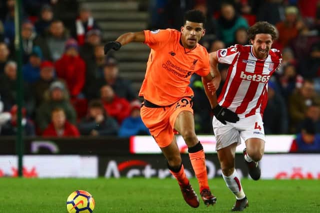 Could Celtic rekindle their interest in Dominic Solanke? Picture: AFP/Getty Images