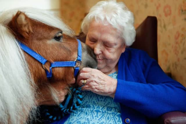 Therapony' proves big hit with care home residents in Edinburgh. Horses are capable of feeling emotions argues Jan Hoole. Picture: Toby Williams/TSPL