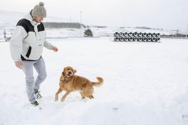 Bampot the dog enjoys the snow in the Scottish Highlands, Picture: SWNS