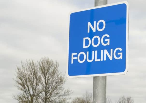 No dog fouling