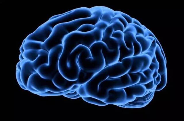 Huntington's disease is an inherited brain disorder. Picture: contributed