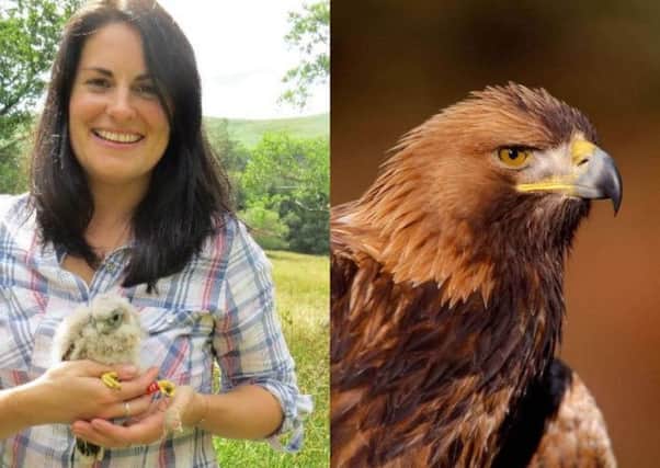 South of Scotland Golden Eagle Project manager Cat Barlow holds an eagle chick. (Right image) A full grown eagle. Pictures: South of Scotland Golden Eagle Project.
