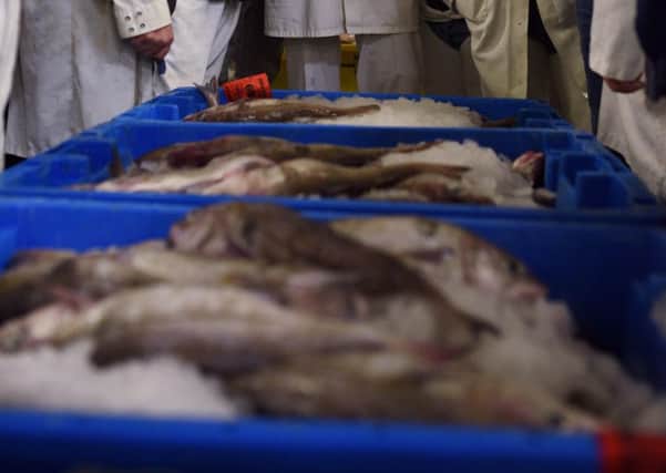 Fresh fish are sold in the Auction Hall of Grimsby Fish Market.Pic: Getty