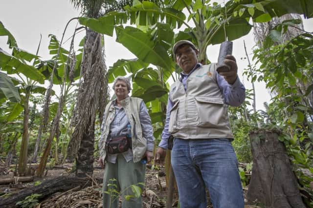 Trish Gentry plants a tree in the Amazonian rainforest with a member of staff from Soluciones Practicas. Photograph: Christian Aid/Elaine Duigenan