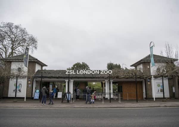 Members of the public enter London Zoo, as the attraction has reopened after several animals died when a fire broke out. Picture: Victoria Jones/PA Wire