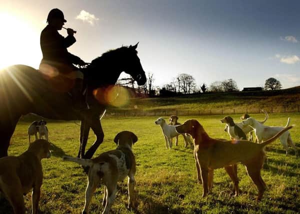 Fox hunting with dogs was banned in Scotland in 2002. Picture: David Cheskin/PA