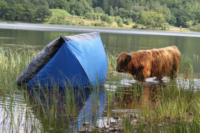 The byelaws, in place between March and September, restrict camping along much of the shores of Loch Lomond as well as busy loch shores near Aberfoyle, Strathyre and Lochearnhead.
Picture: contributed