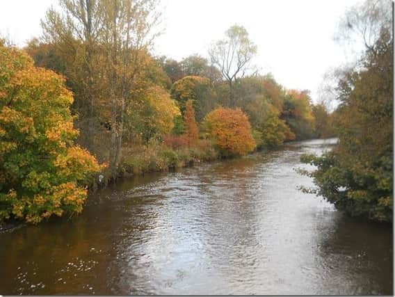 The River Kelvin. Picture: Contributed.