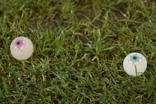 Rubber eyeballs were thrown on the pitch during Dunfermline's match with Falkirk. Picture: Bill Murray/SNS