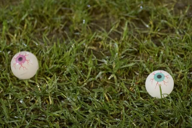 Rubber eyeballs were thrown on to the pitch during the Dunfermline v Falkirk. Picture: Bill Murray/SNS