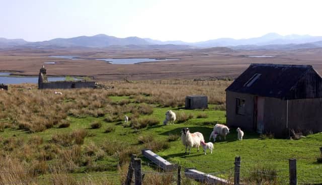 A croft on the Outer Hebrides. Picture: Allan Milligan/TSPL