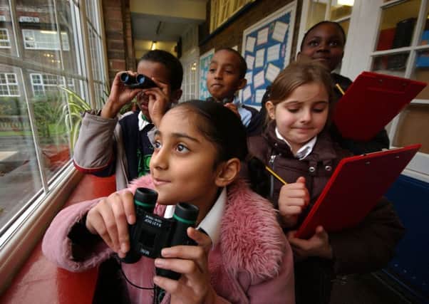 More than 7,000 Scottish children took part in the the RSPB's Big Schools Birdwatch last year