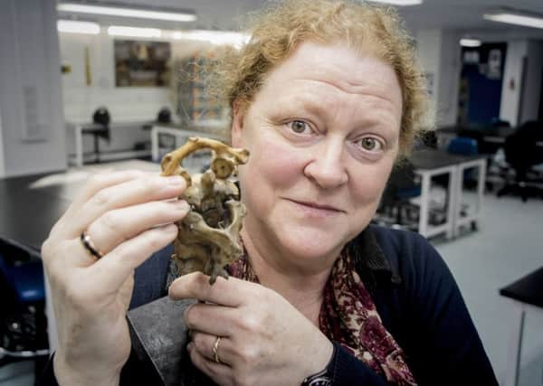Professor Dame Sue Black, of Dundee University, with Bury's vertebrae. PIC: Contributed.