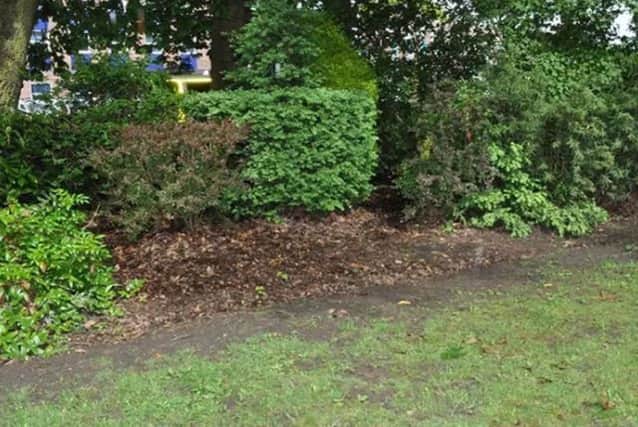 The bushes where a newborn baby girl was found with multiple head injuries. Picture: Hampshire Police/PA