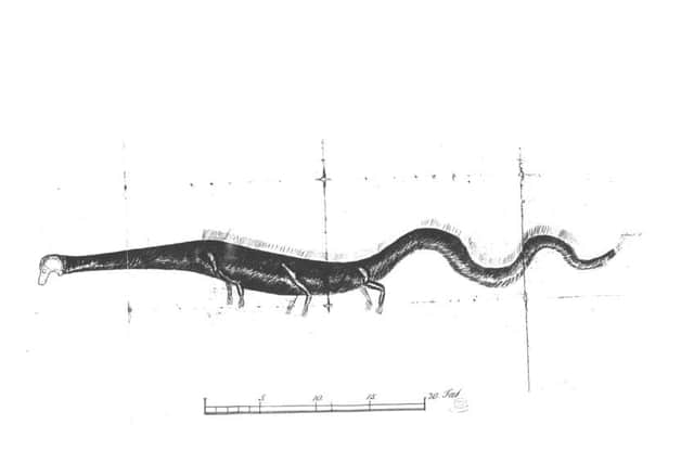 A contemporary drawing of the alleged sea serpent of Stronsay. Picture: Submitted.