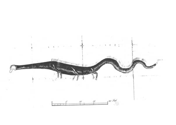 A contemporary drawing of the alleged sea serpent of Stronsay. Picture: Submitted.