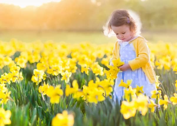 Flowering plants have evolved and spread to dominate the botanical kingdom - now scientists believe they know the secret to this success