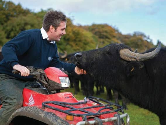 In 2016, The Buffalo Farm won the coveted best meat category at the Scotland Food & Drink Excellence Awards, for their buffalo fillet steak