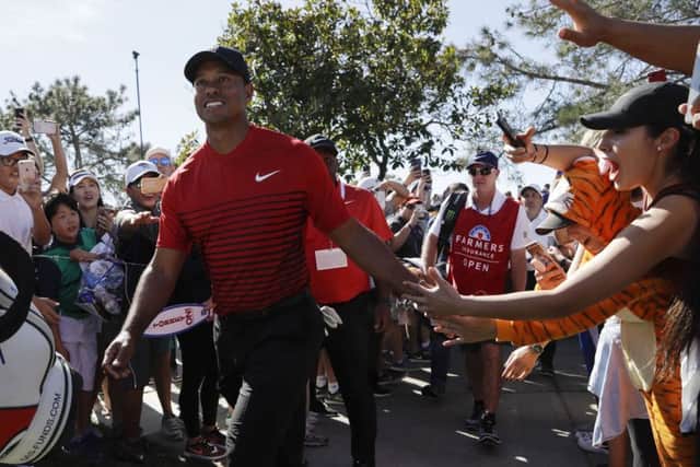 Tiger Woods enjoyed continuing his comeback with a gritty display in the Farmers Insurance Open at Torrey Pines. Picture: Gregory Bull/AP