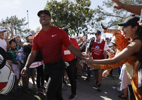 Tiger Woods enjoyed continuing his comeback with a gritty display in the Farmers Insurance Open at Torrey Pines. Picture: Gregory Bull/AP