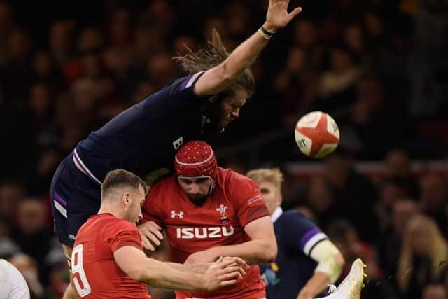 Ben Toolis tries to charge down Gareth Davies box-kick. Picture: Getty.