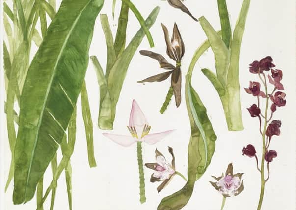 Elizabeth Blackadder is celebrated for her exquisite flower paintings, and her Orchids and Bananas is a fine example
