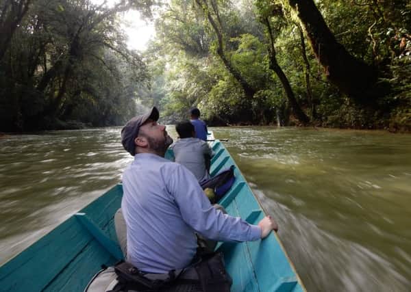 Dr Peter Wilkie doing fieldwork in a Malaysian rainforest
