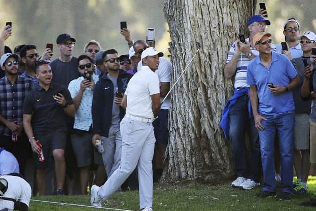 uge crowds followed Tiger Woods when he was paired with Rory McIlroy and Justin Thomas in the Genesis Open. Picture: AP